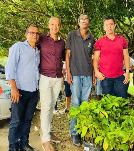 Camacã: Prefeitura chega a marca de 35 mil mudas de Cacau distribuídas para pequenos agricultores
